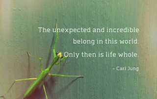 Carl Jung quote small